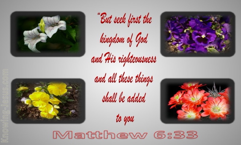 Matthew 6:33 Seek First The Kingdom (gray)